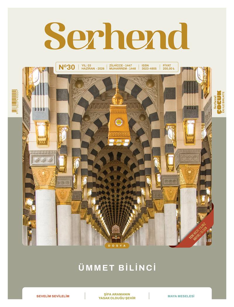 30. Sayı