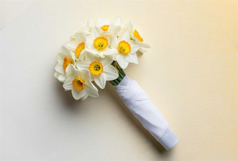 Âşıklar Kâr Zarar Gütmez Kurbanım