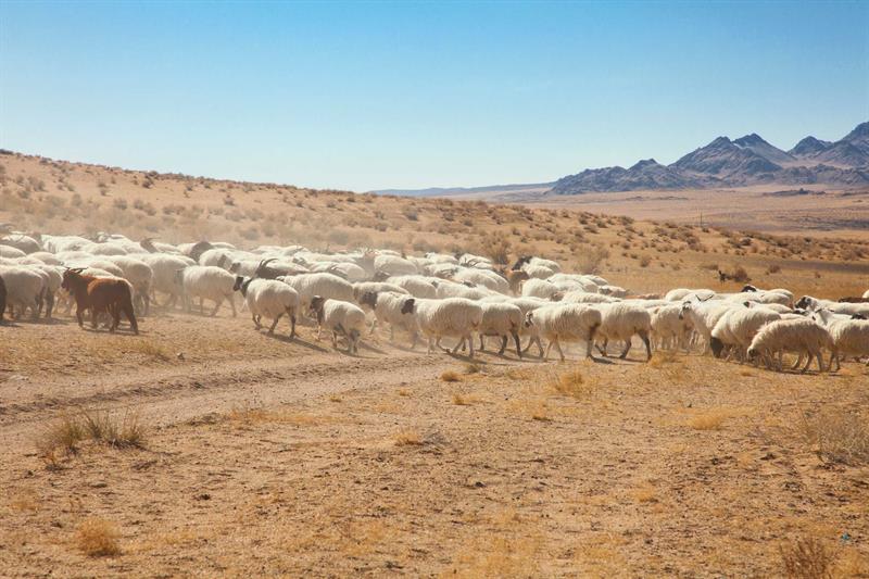 Hz. Musa Aleyhisselam - 3 - Kelimullah