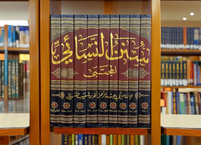 İmam Nesâî -rahmetullahi Aleyh-