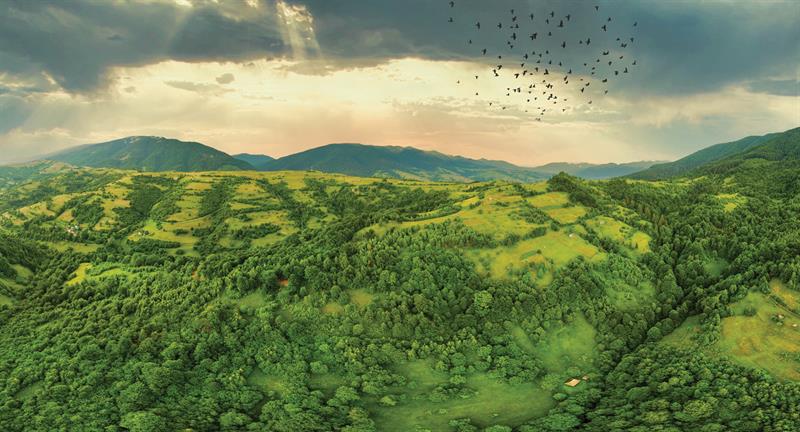 Kovulmuş Olan Şeytanın Şerrinden Allah’a Sığınırım