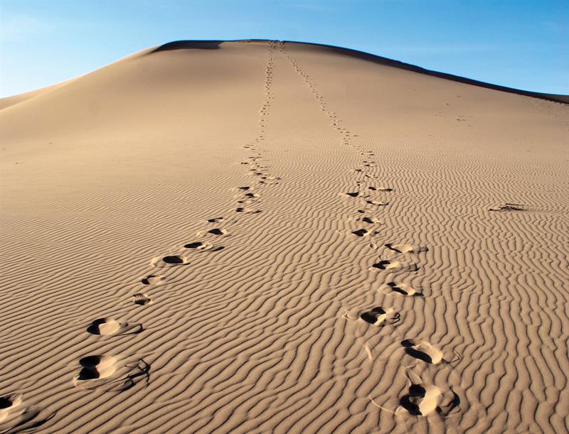 Aşıkların Ve Sadıkların Piri Hz. Ebû Bekir Radıyallahu Anh