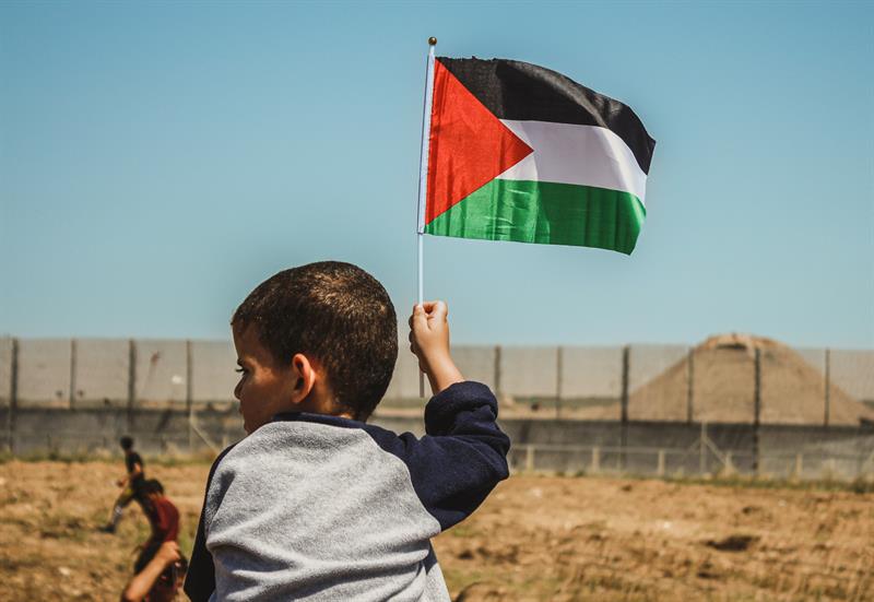 Gazzeli Cennet Çiçekleri Solarken