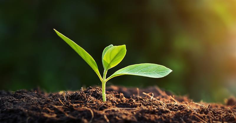 Rahman Ve Rahîm Olan Allah’ın Adıyla