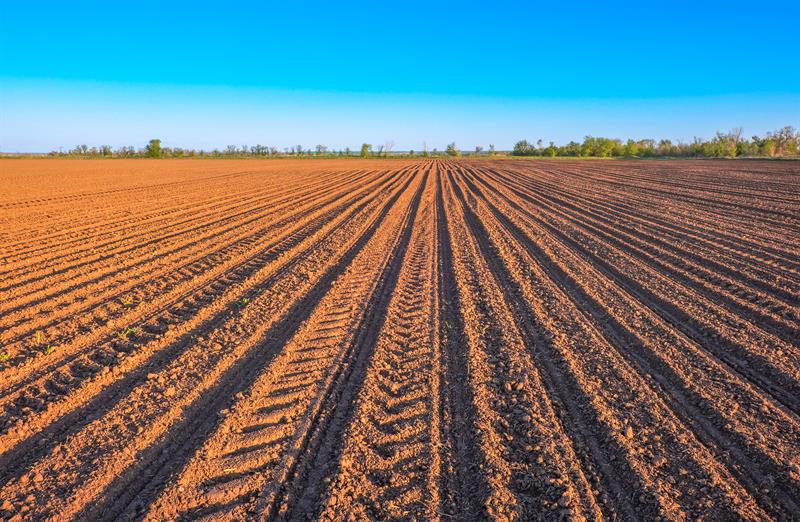 Sofilik Ne Zaman Başlar?