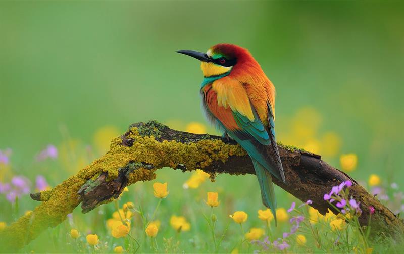 Abde Değil Önce Ahde Vefa