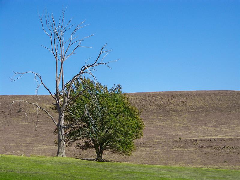 Her Şey O’nun Emrinde