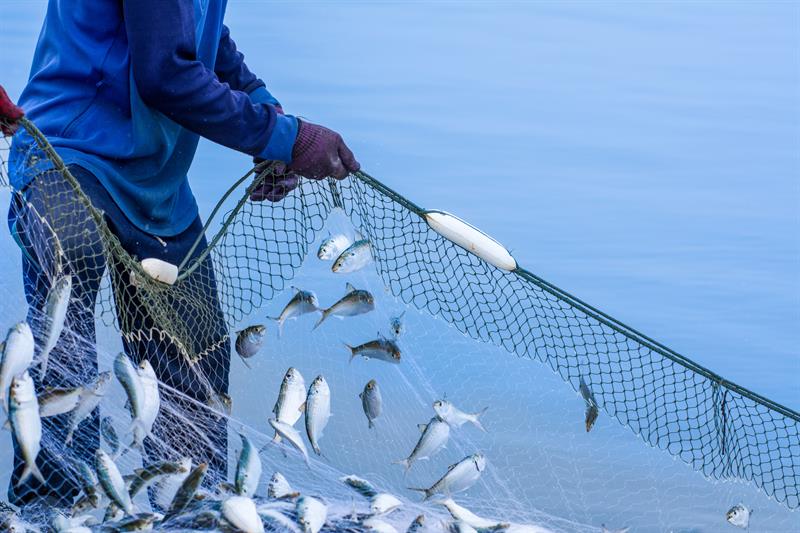 Tüketim Ve Harcamada İtidal