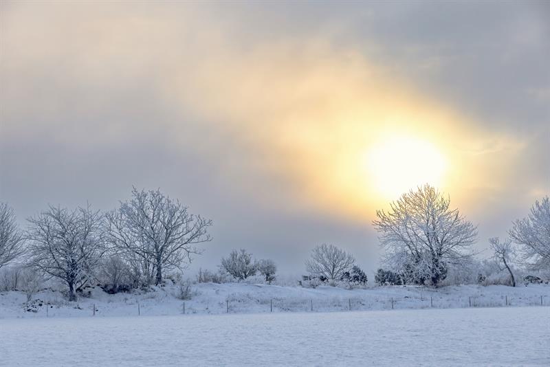 Peygamberine Tabi Olan Kurtulur