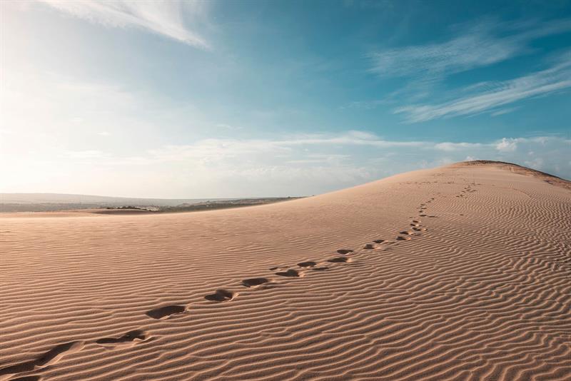Allah Teâlâ’nın Mağfiretine Erişmek İstersen