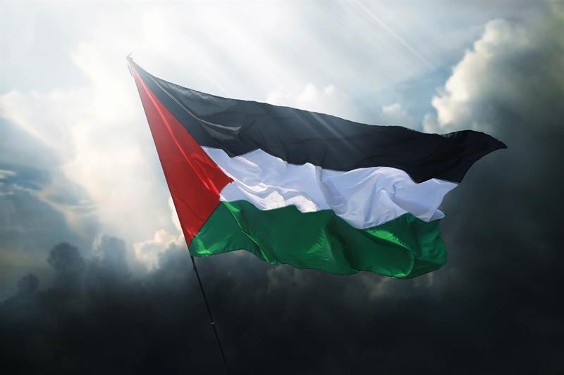 Gazze Harap Olduktan Sonra