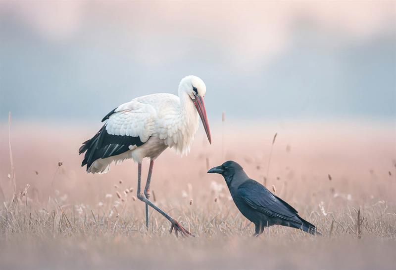 Kötülerin Dostluğundan Sakınmak