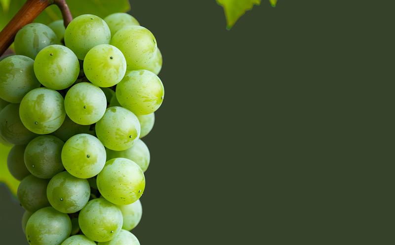 Birbirimizi Anlamaya Çalışmak