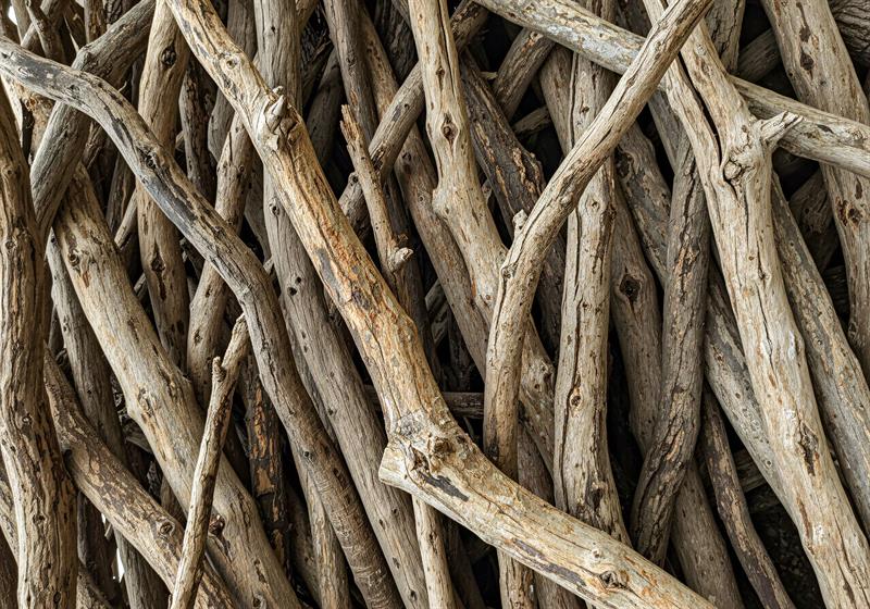 Tebbet Suresinin Tefsiri