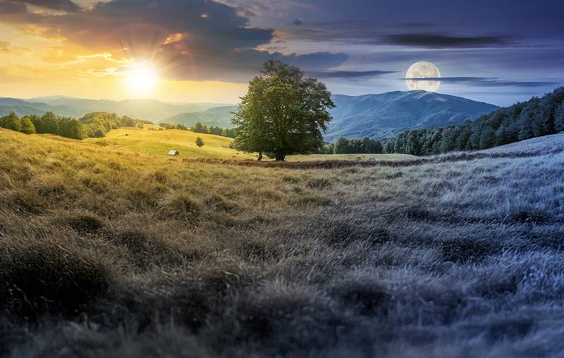 Duhâ Suresinin Tefsiri