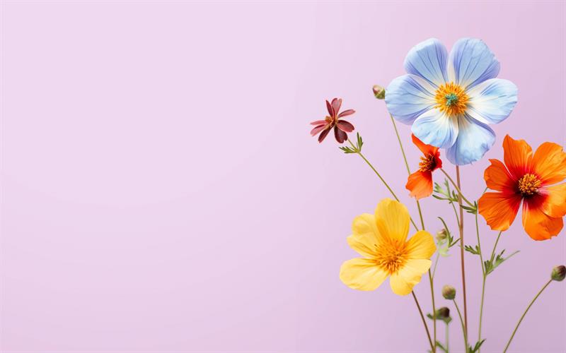 Peygamberimiz’in -sallallahu Aleyhi Vesellem- torunlarına Sevgisi Ve Şefkati