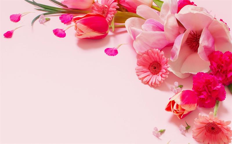 Ailenin Çocuk Terbiyesindeki Yeri Ve Önemi