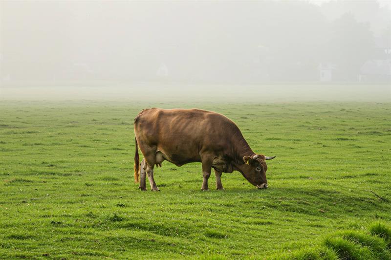 Rızık Endişesinden Kurtulmak