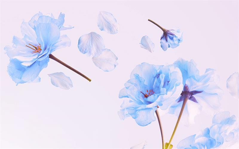 Çocukluk Çağındaki Dinî Terbiyenin Önemi