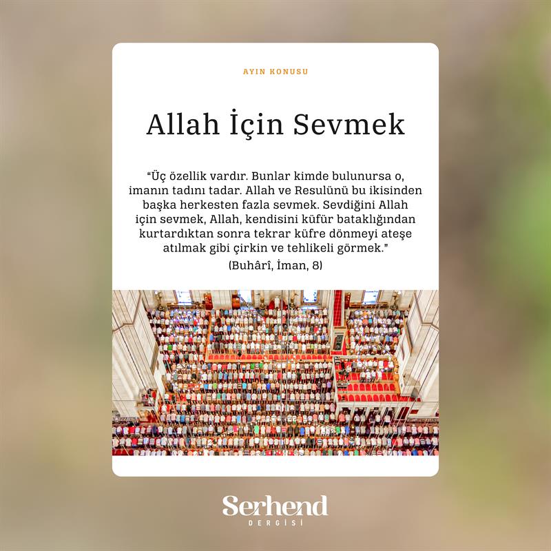 Ayın Konusu - Allah İçin Sevmek