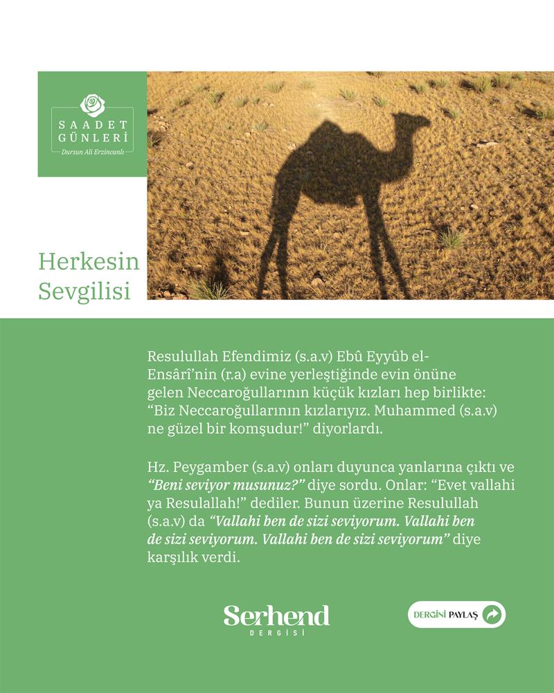 Saadet Günleri - Herkesin Sevgilisi